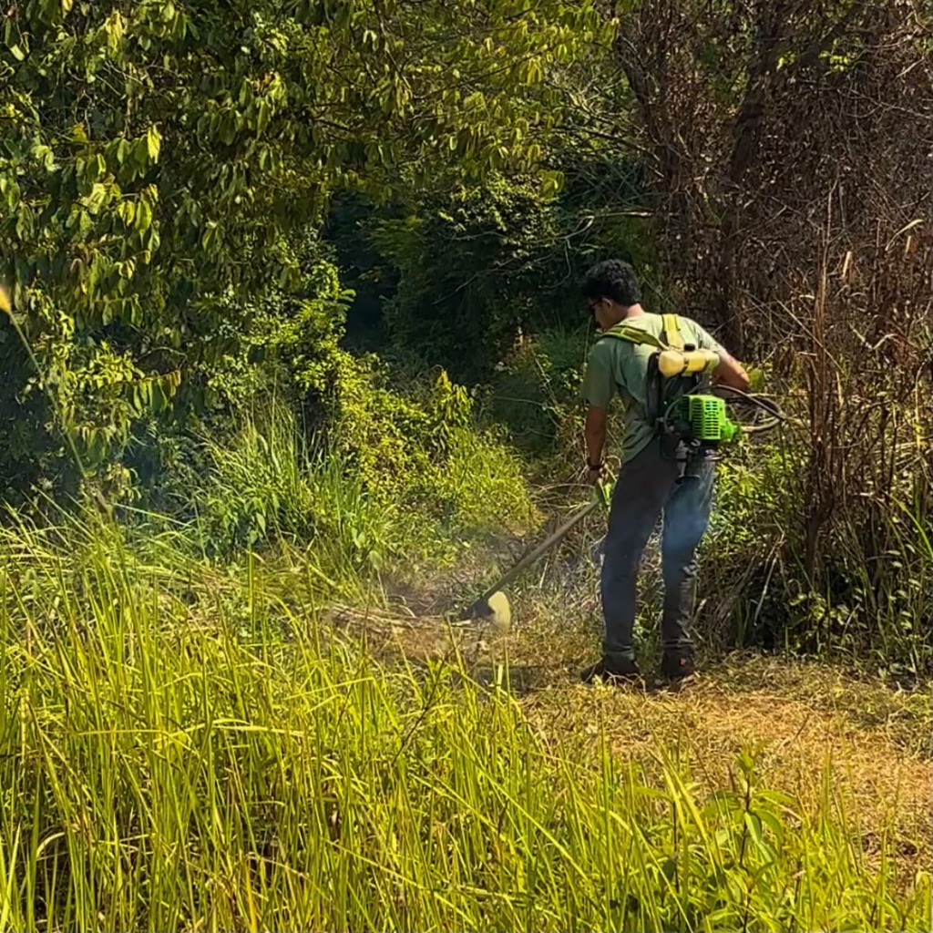 Operasional Mesin Babat Rumput 2-Tak